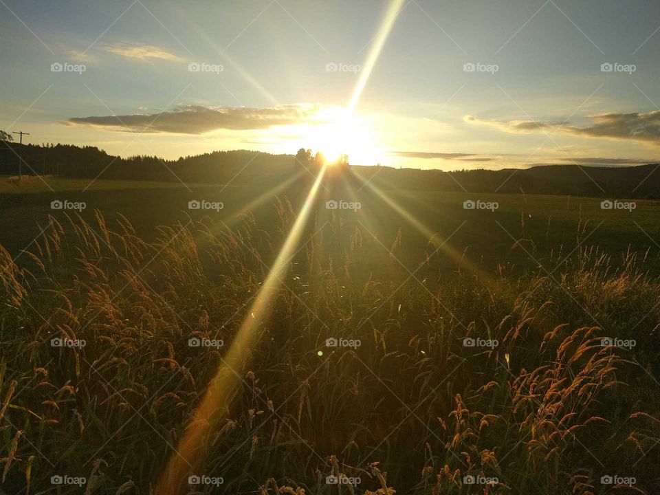 Sun flare sunset in open field