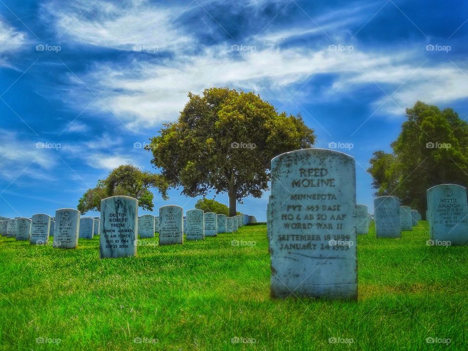 Military cemetery