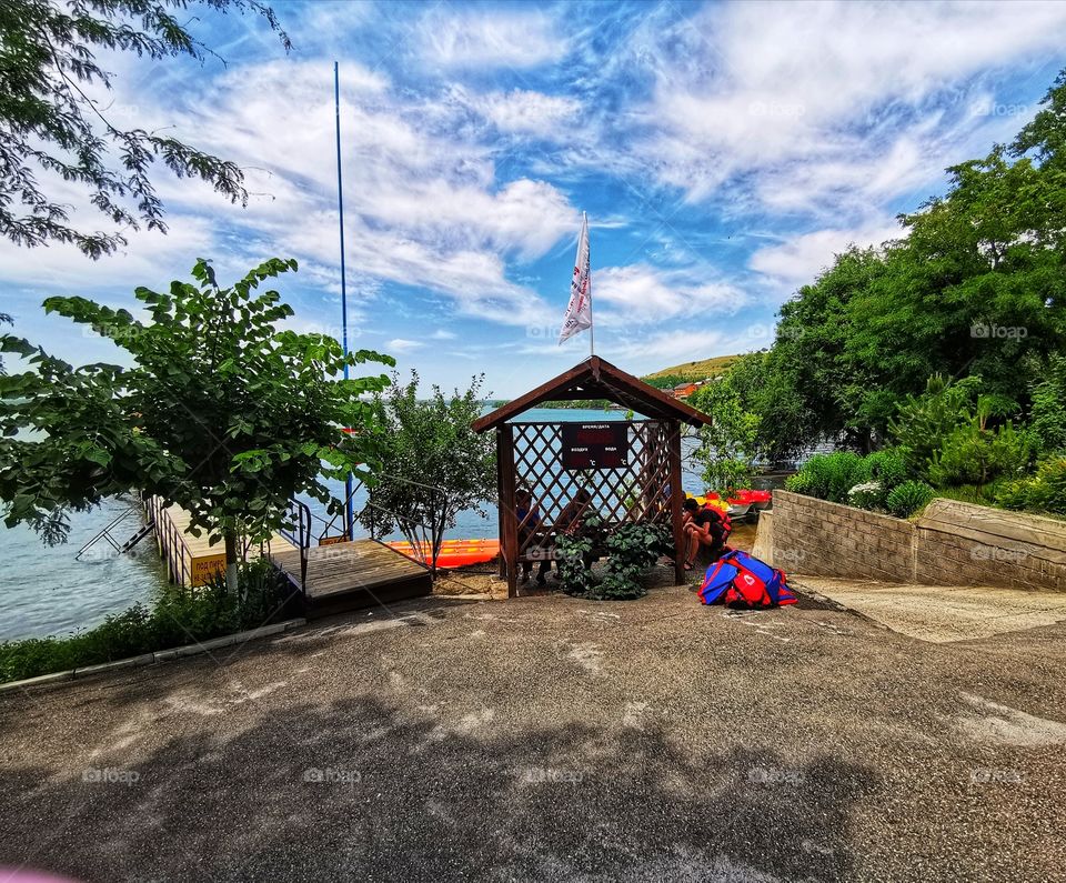 Summer color fresh day outdoor nature greens wild forest greens sky clouds moody nature