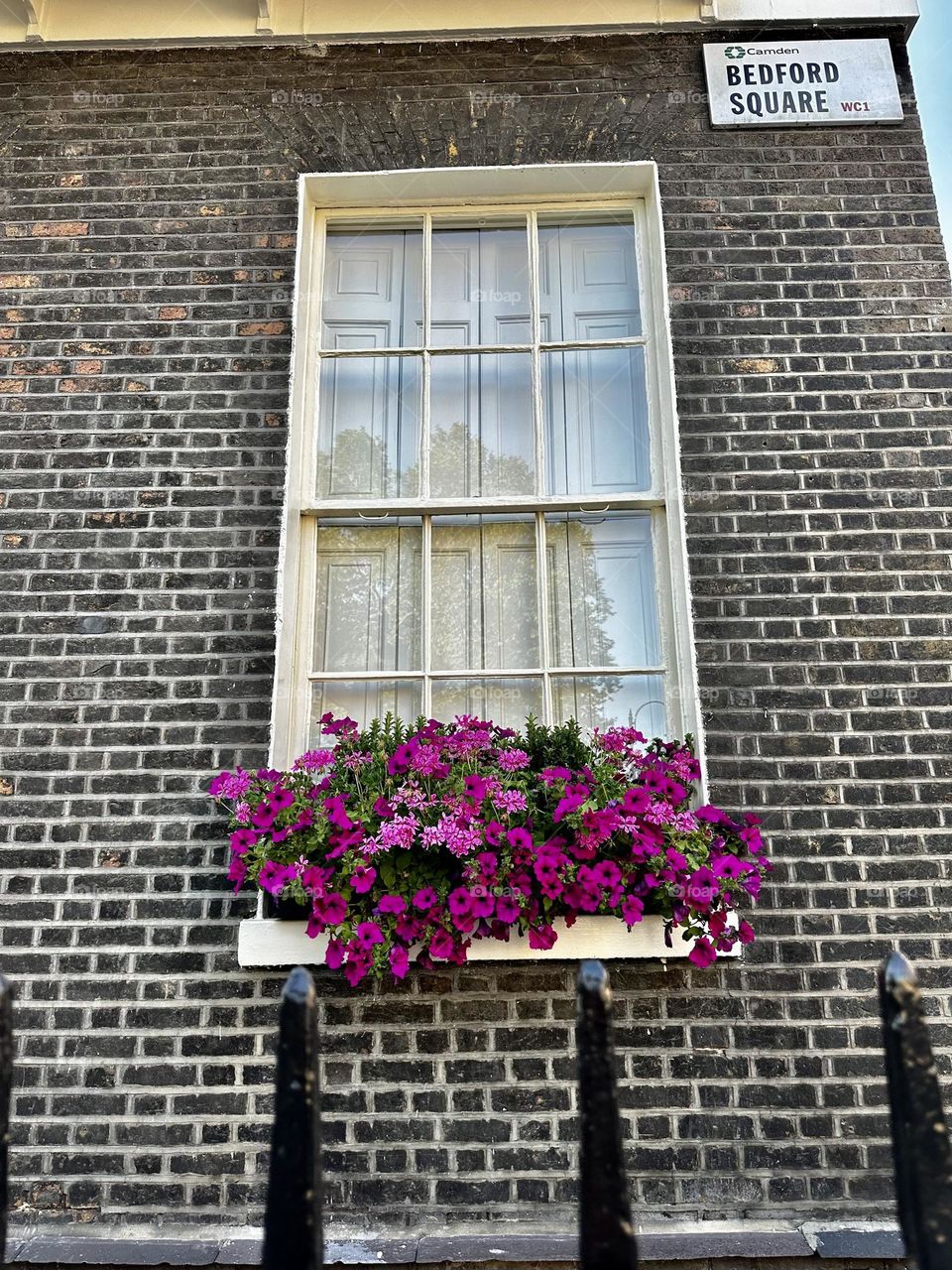 Flowers on the window