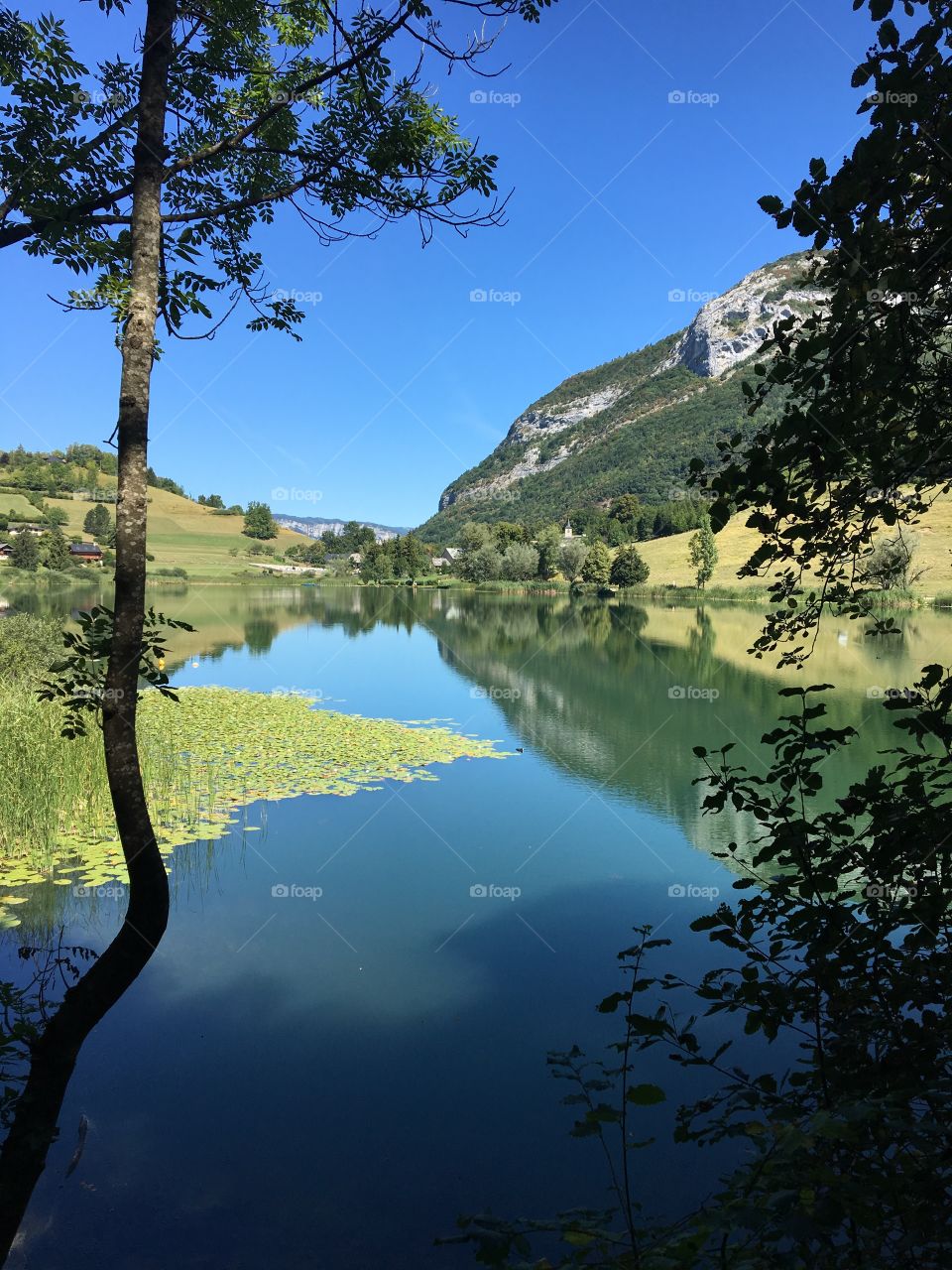 Reality and reflection of a lake in beginning summer