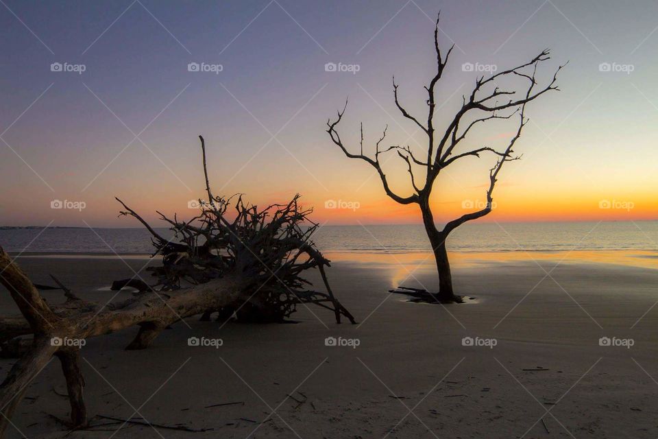 The relentless of mother nature-Jekyll Island GA