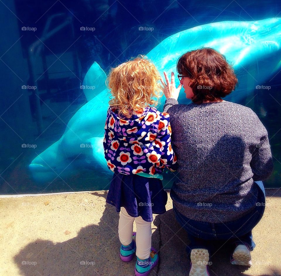 Mom will keep you safe.... Mom explaining to her daughter how the glass separates them from the Beluga - mother and daughter mission 