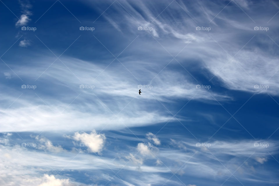 The ocean of the sky