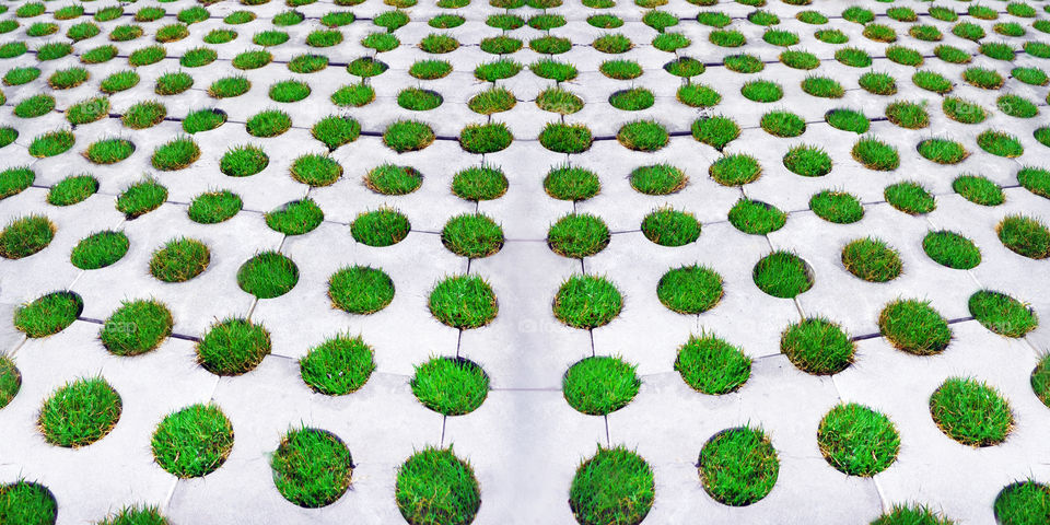 grass with declaration