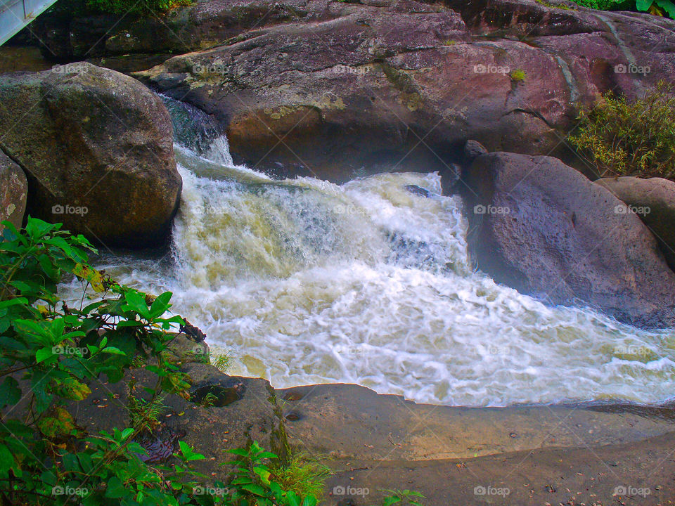 Water, Stream, River, Waterfall, Rock