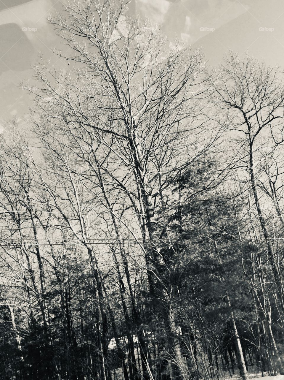 I love a good black and white 