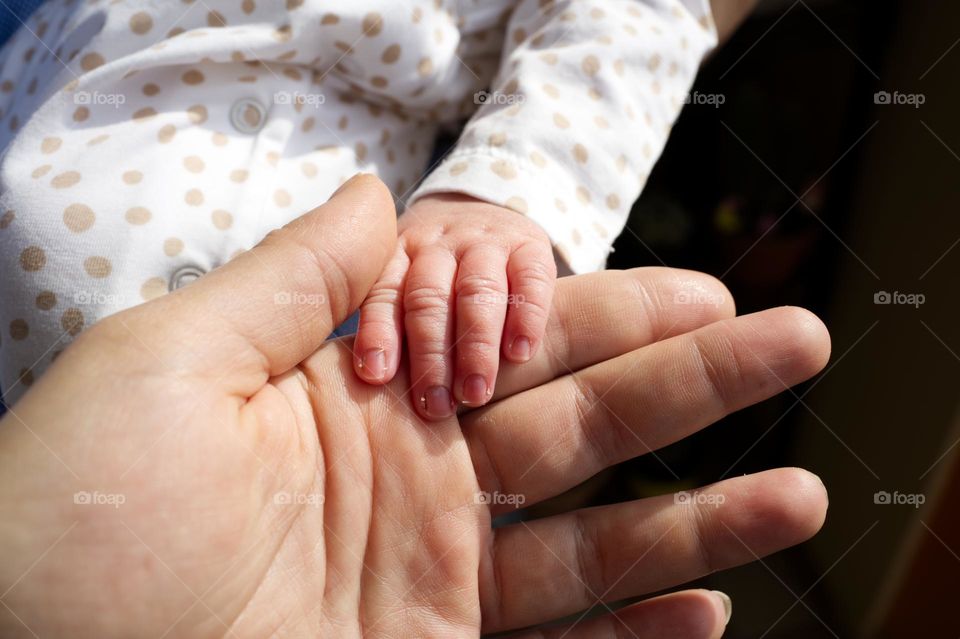 little hand in dad's big hand