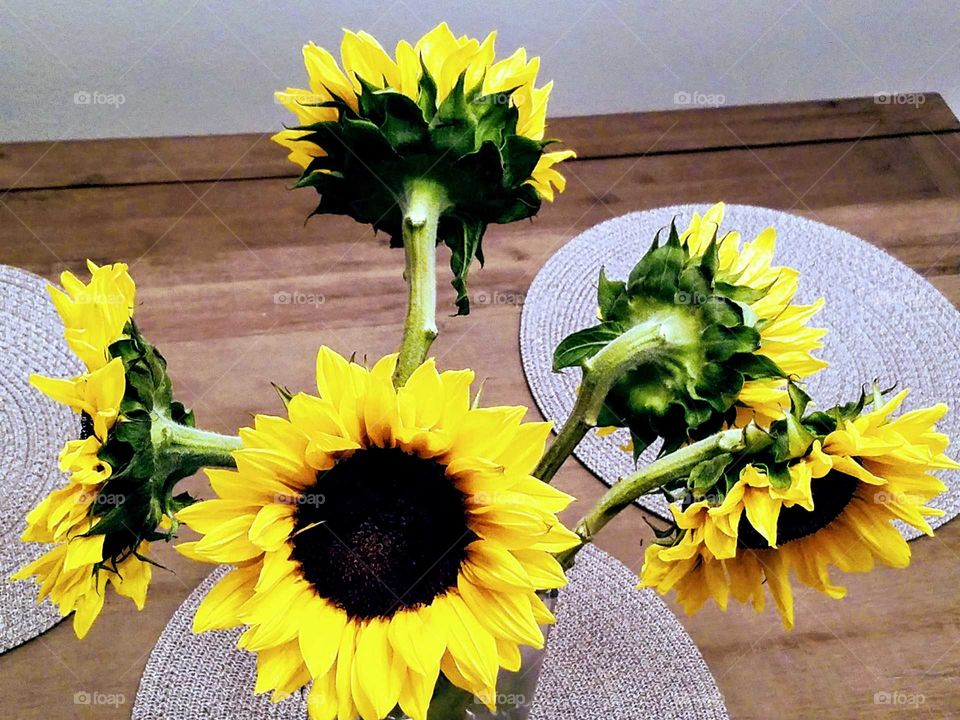 Sunflowers