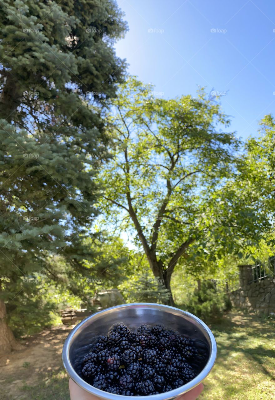 A day full of green 🌱✨☀️💚📸