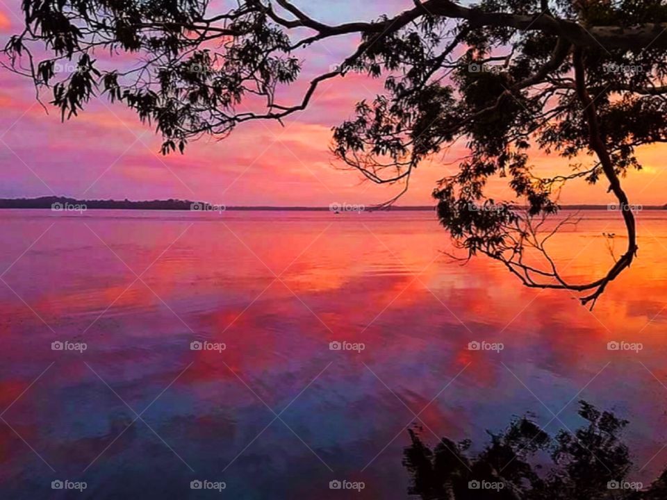 When Nature Give You Amazing light to work with 