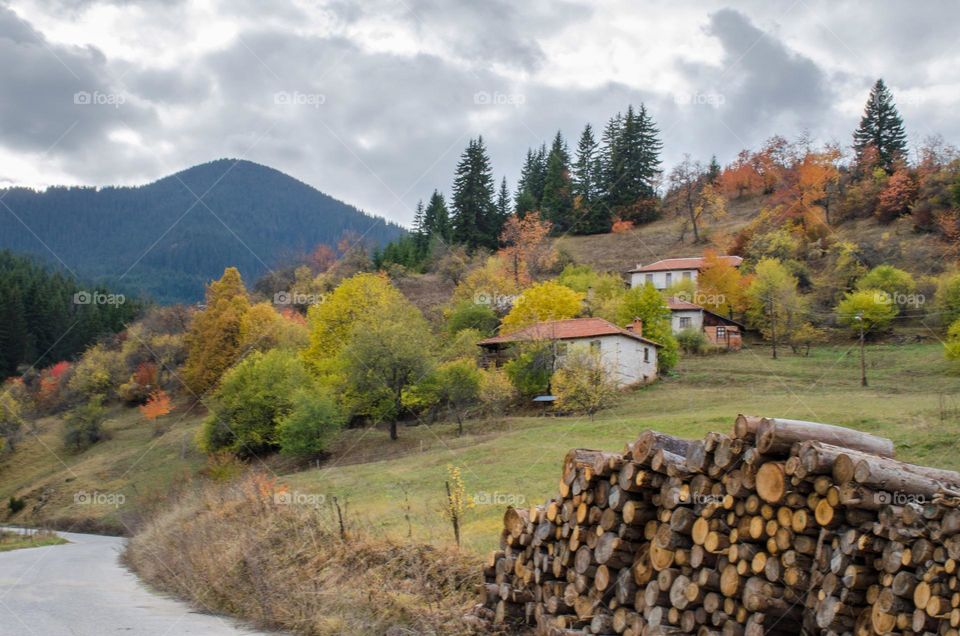 Autumn Landscape, Rhodopes Mountain, Bulgaria