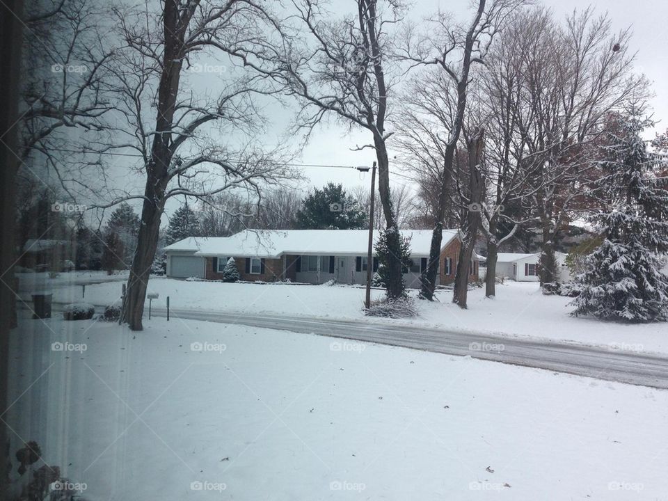 Snowy House