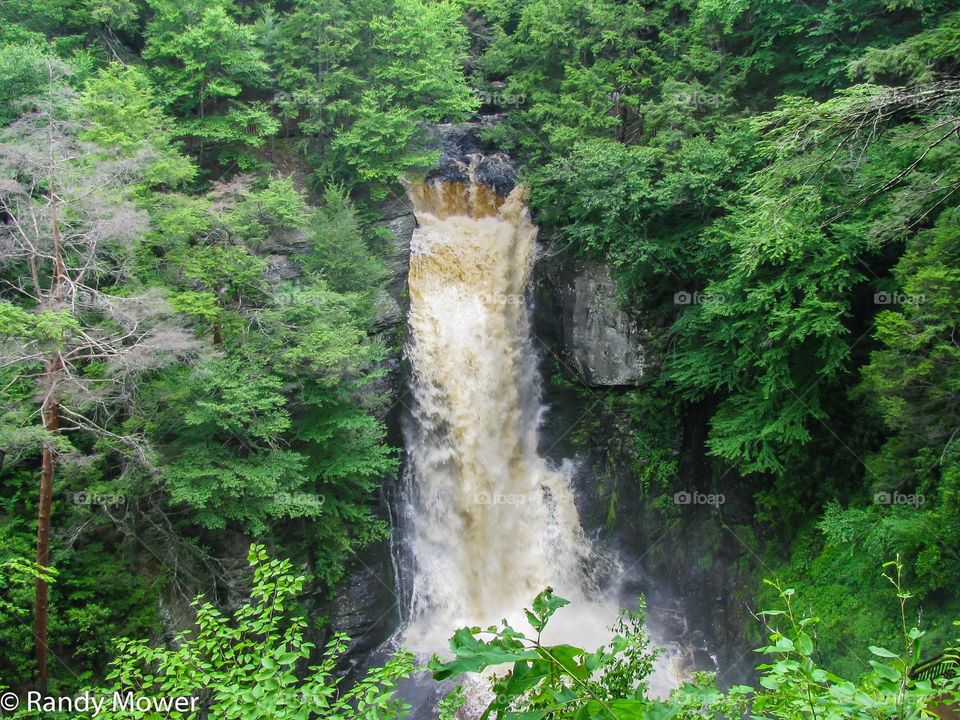 Bushkill Falls
