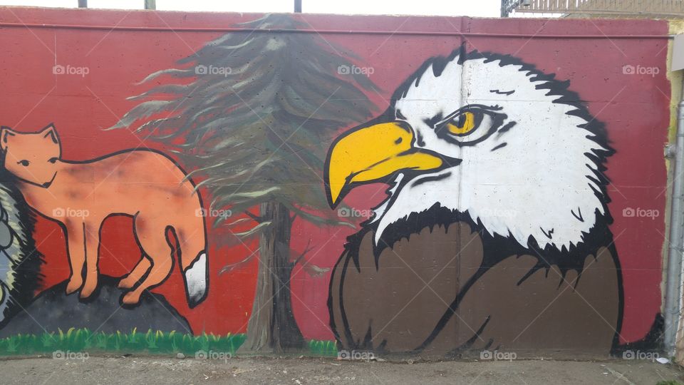 Bald eagle and red fox parking lot wall mural.