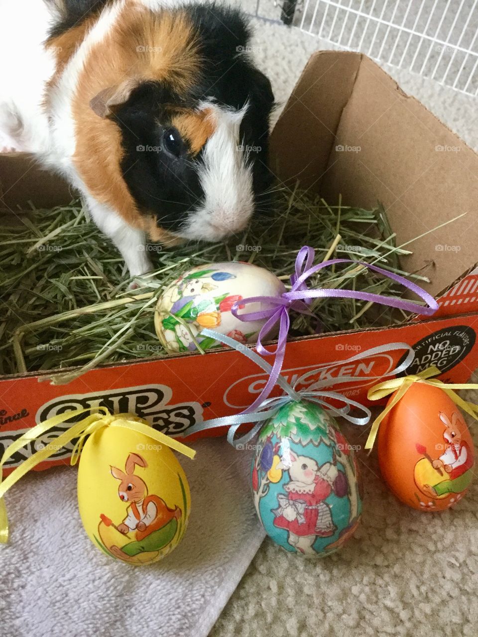 Easter, Egg, Nest, No Person, Celebration