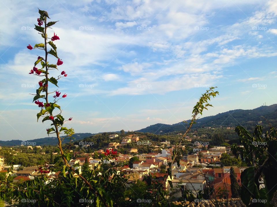 Colourful view in Corfu