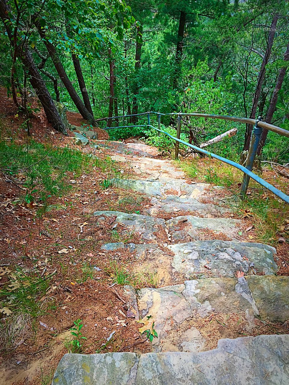 Venturing Downward . This picture was taken at the top of the stone steps on Mill Bluff in Mill Bluff State Park in Camp Douglas, Wisconsin.