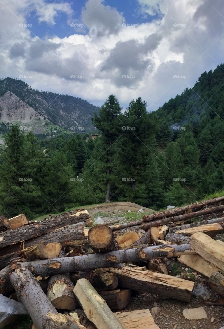 top up mountain and woods