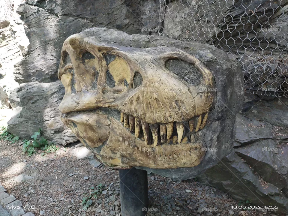 Dinosaur