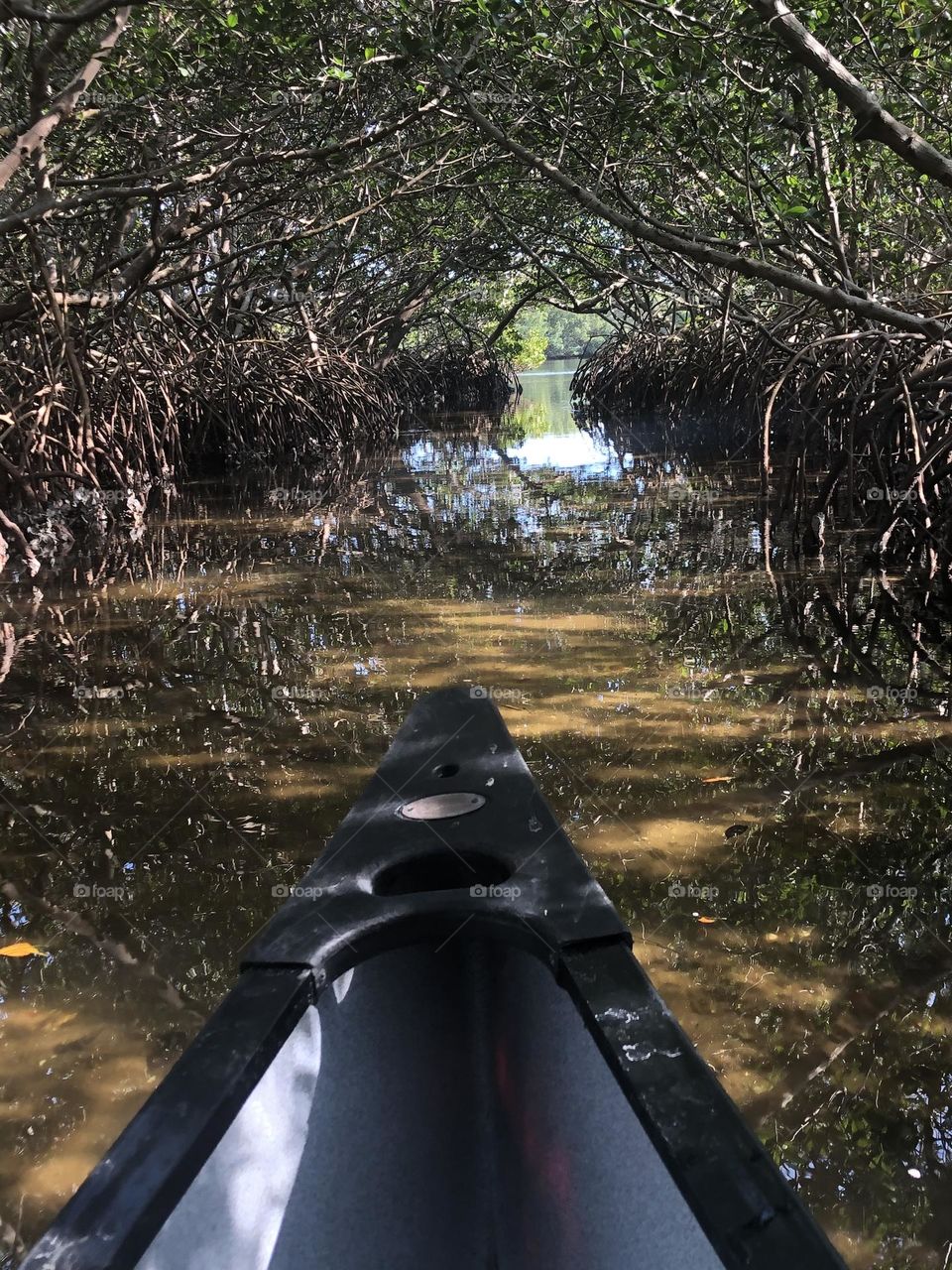 Mangrove Kayaking Adventure