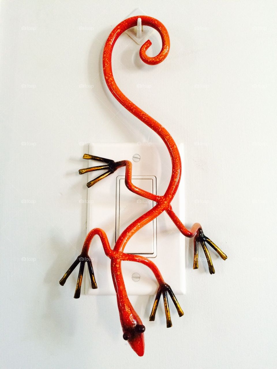 Salamander Switch Shield