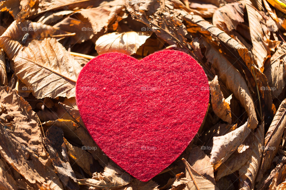 Heart, Laub , Blätter , rotes Herz