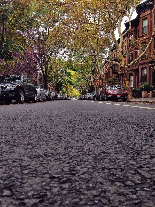 My Fall Avenue