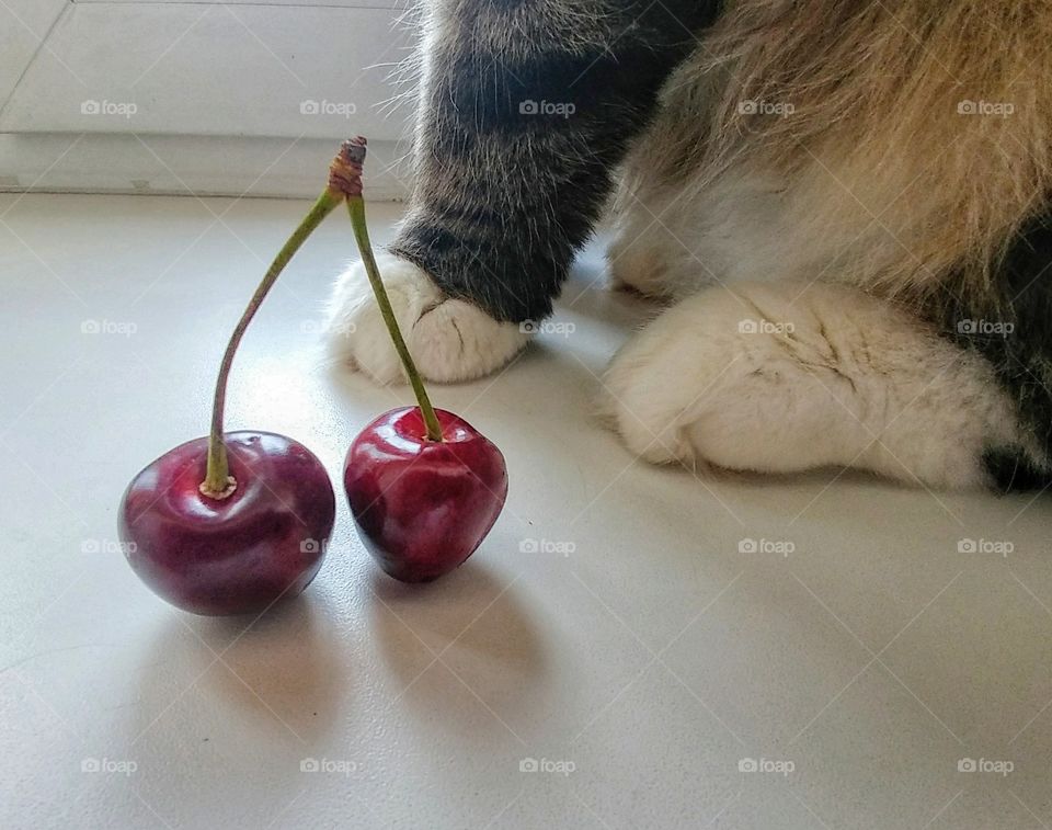 Cherries.