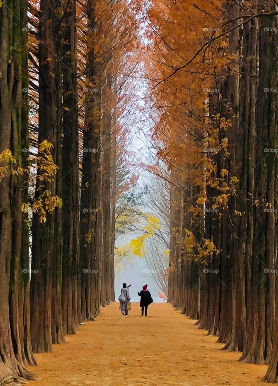 Amazing nature 