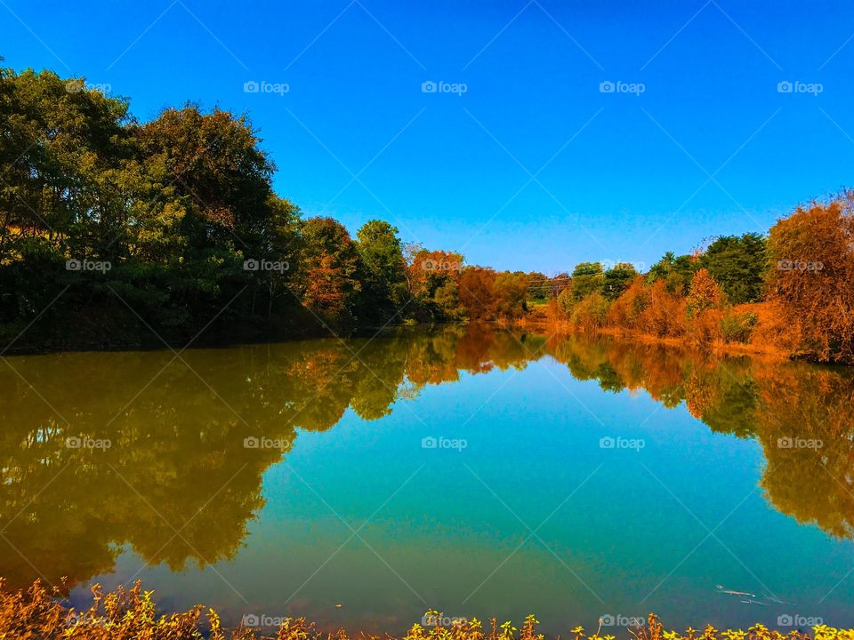 Fall reflections and foliage 