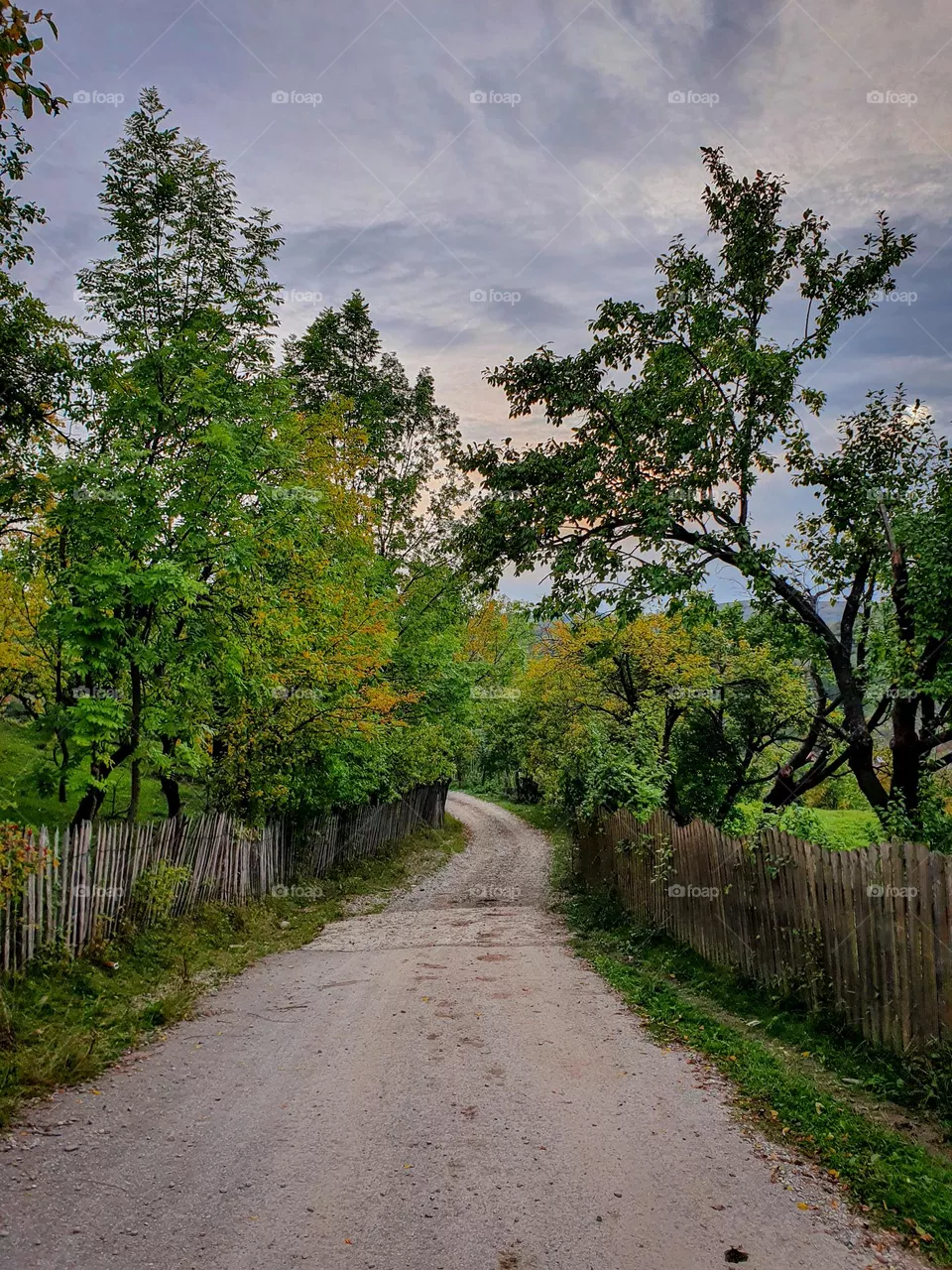 Village road