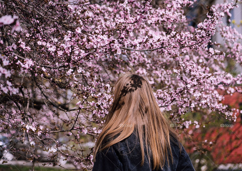 The look and smell of cherry blossom.