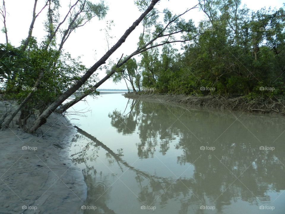 canal of kuakata. koakata beach