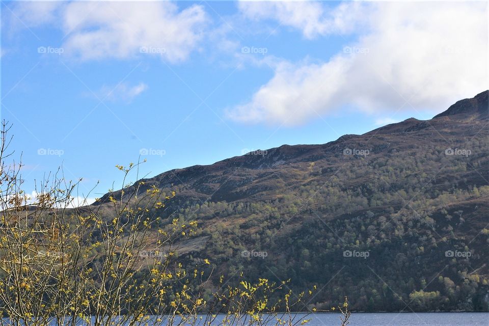 Hill above Loch Ness 