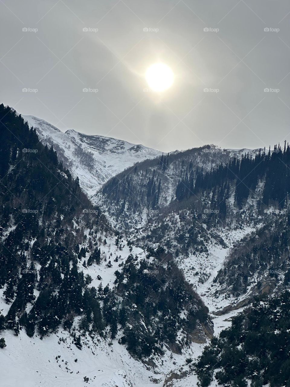 snowfall with sunlight