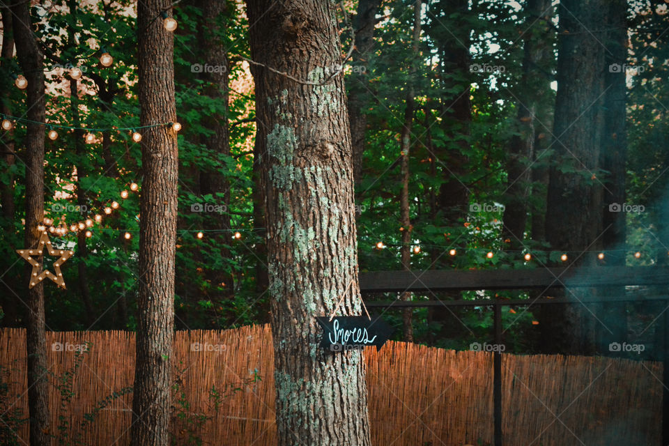 Wood, Tree, No Person, Nature, Outdoors