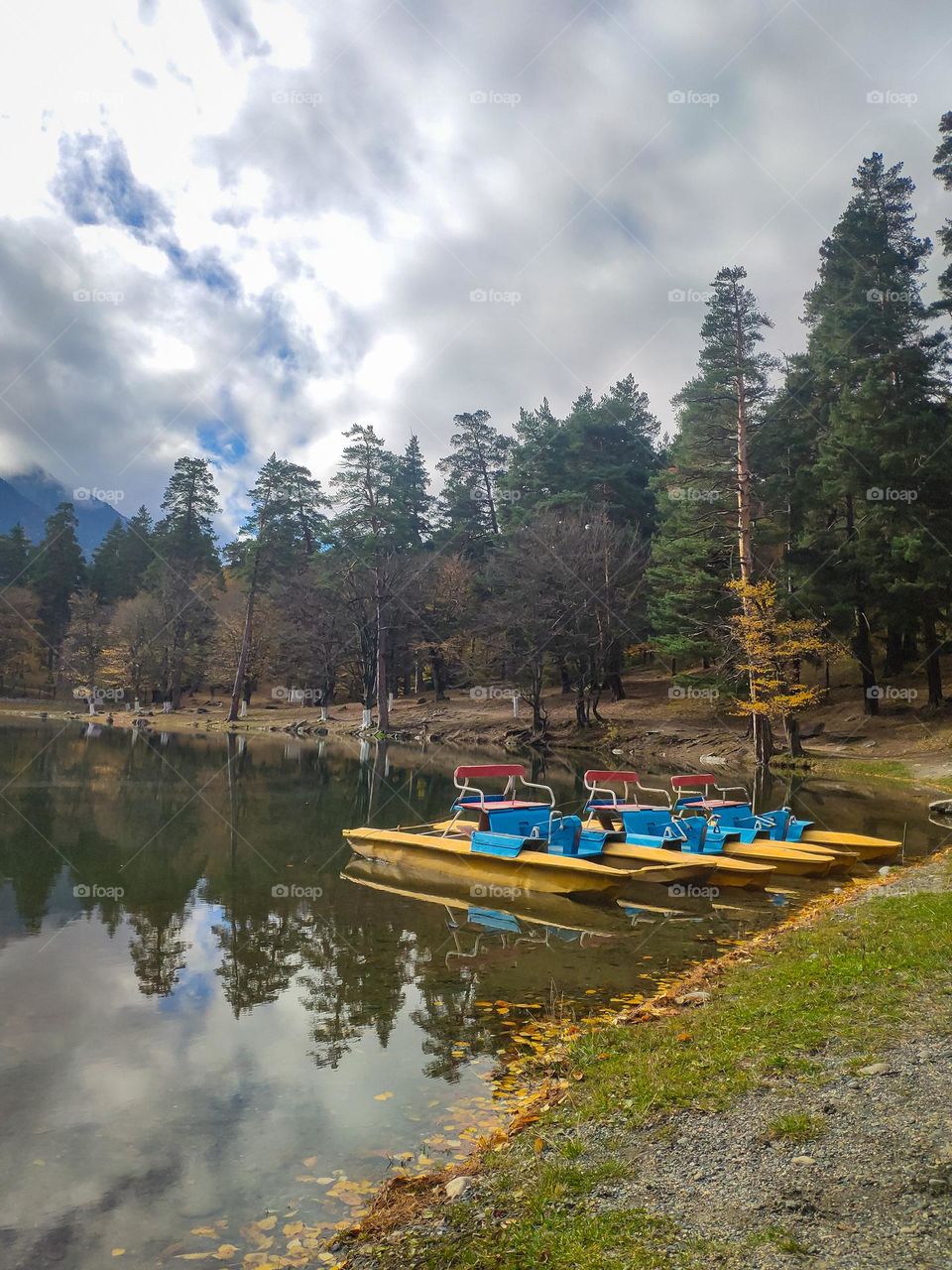 Catamaran on the lake in the forest