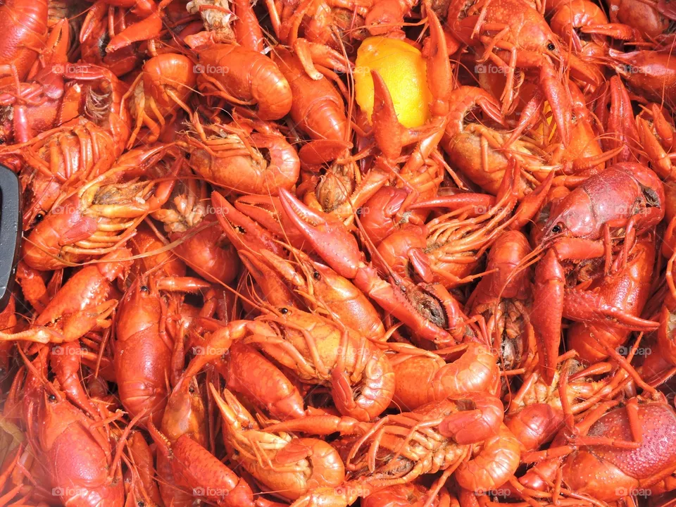 Crawfish