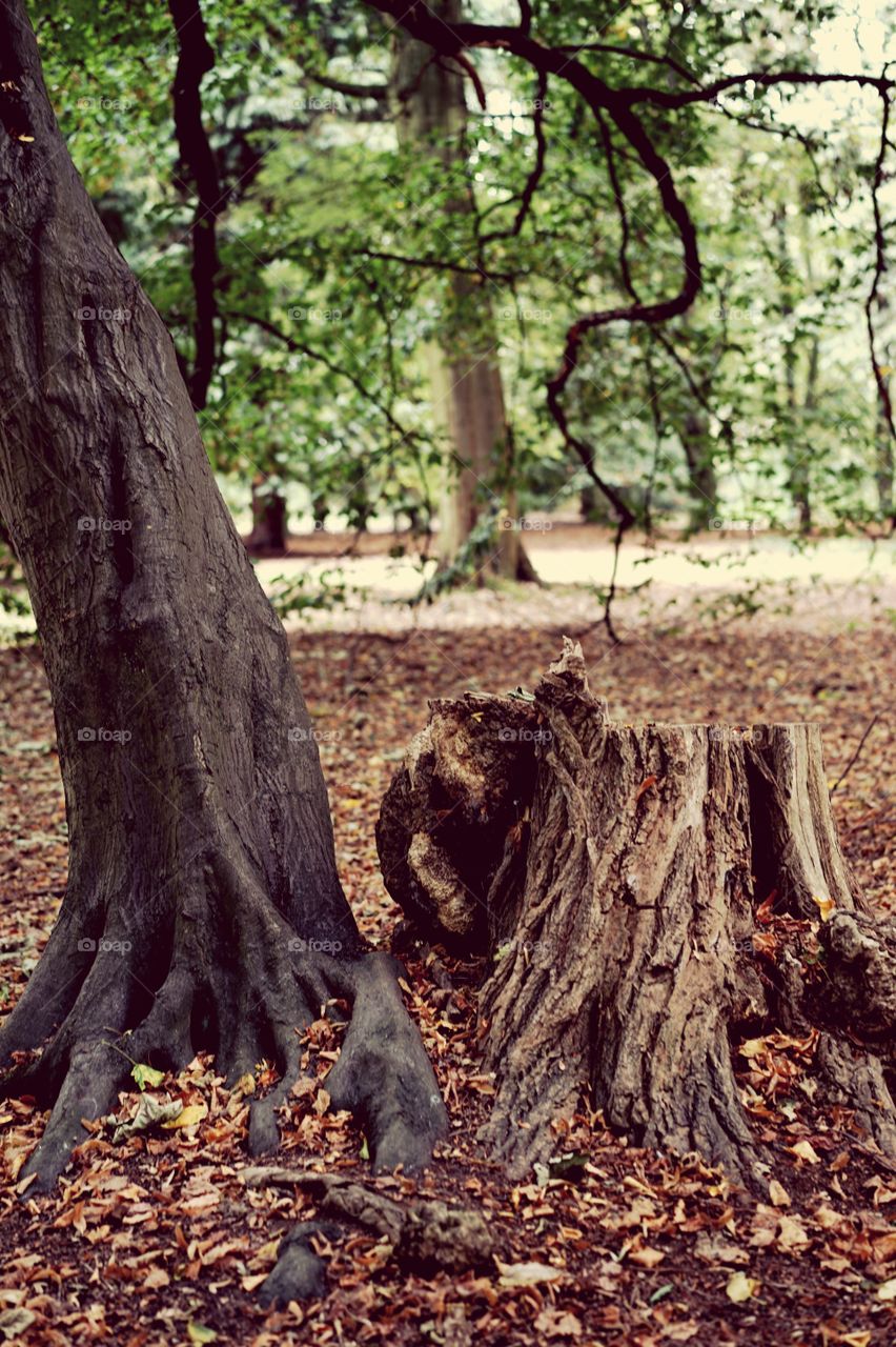 In a park in Antwerp