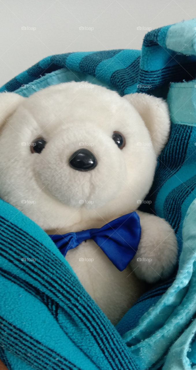 Everyone deserves a Teddy Hug & not only rainbow girls...🌈❤️🧸