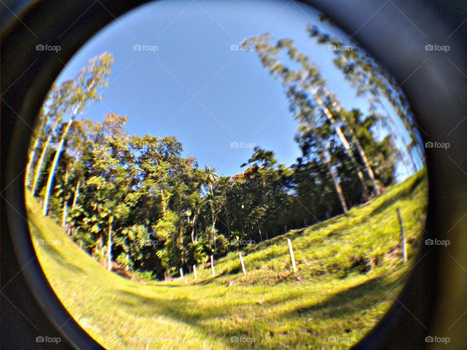 Com a lente olho de peixe.