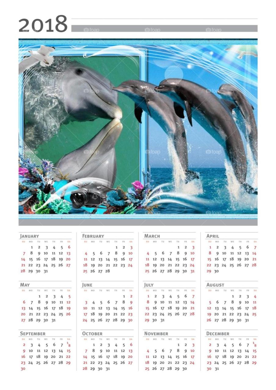 Delfine Kalender 2018