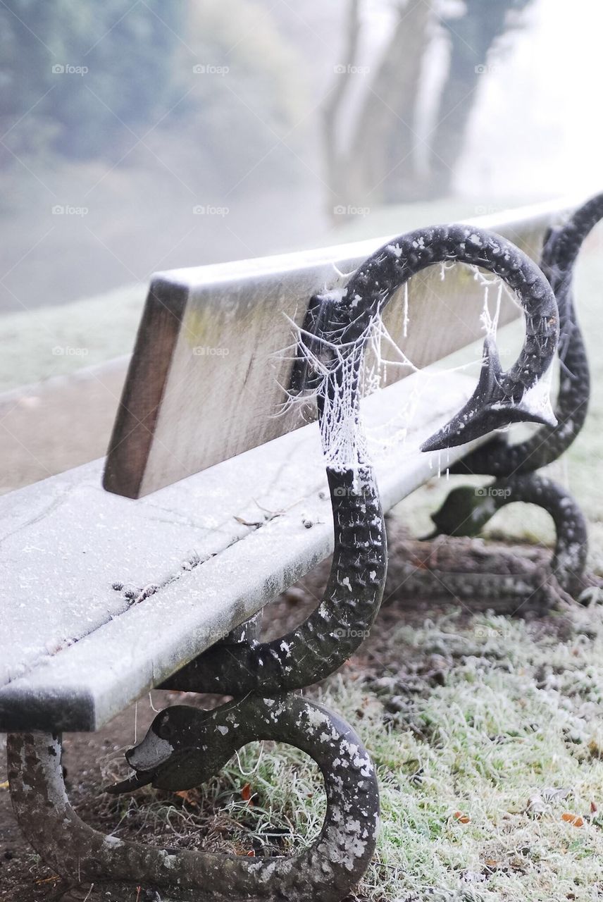 Bench in the snow in North Yorkshire