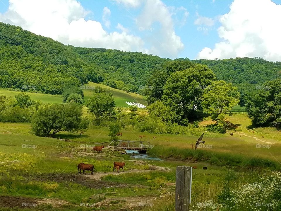 Driving the Back Roads and enjoying everything around us