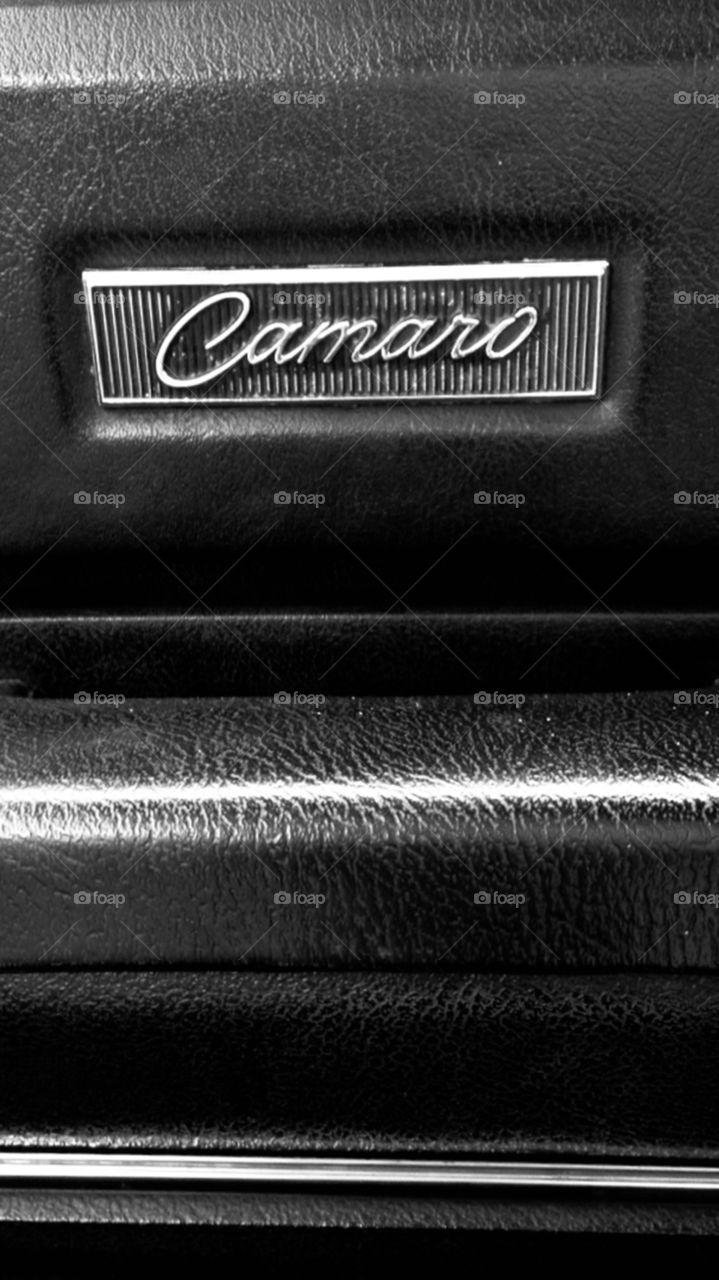 ‘68 Camaro interior plating