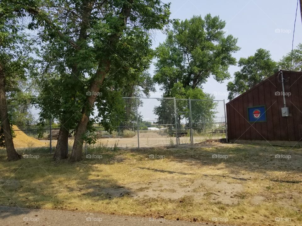 Tree, Wood, Landscape, No Person, Environment