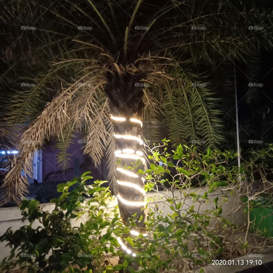 Light : Nature vs artificial