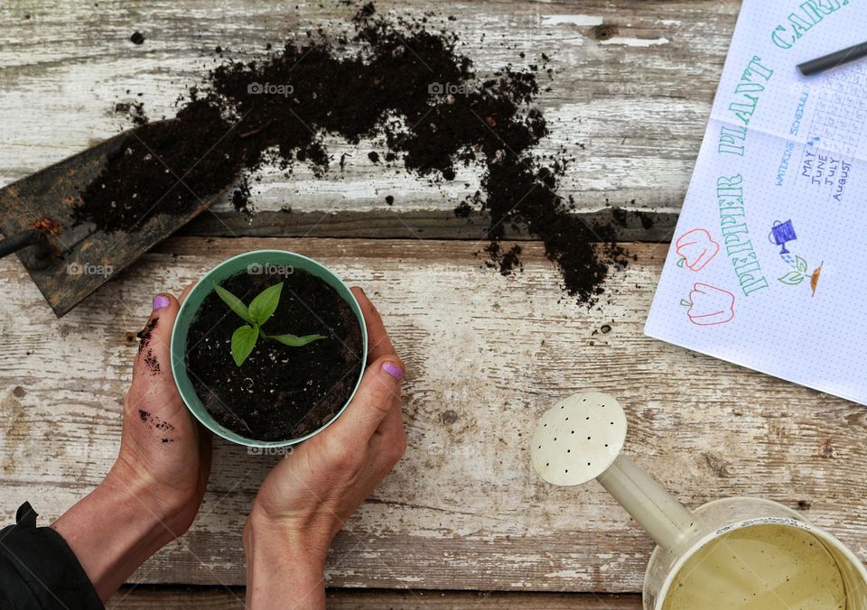 Flatlay of a woman holding a potted pepper plant. We also see a shovel with dirt spilling out, a watering can, and a bullet journal with the pepper plants watering schedule.