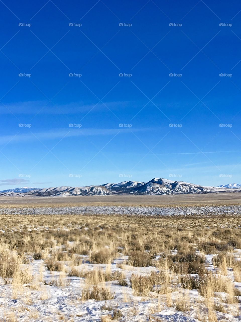 Nevada Landscape 